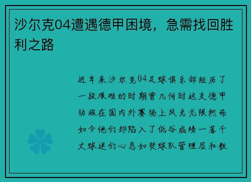 沙尔克04遭遇德甲困境,急需找回胜利之路 沙尔克04遭遇德甲困境,急需找回胜利之路